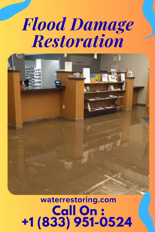 Flood Damage Restoration in Raglesville, IN